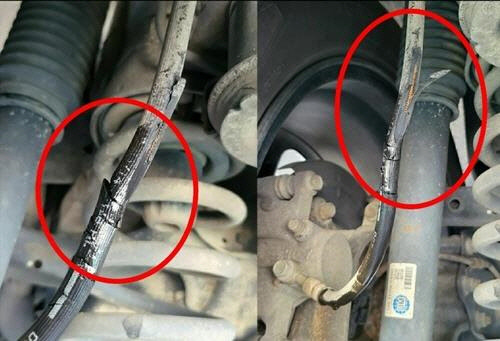 날카로운 칼로 여러 차례 절단된 흔적이 남아있다.    [B씨 제공]